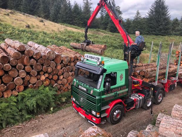 Forestry Journal: Will Aherne 