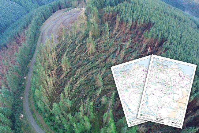 A new mapping tool is helping forestry chiefs assess the damage caused by Storm Arwen