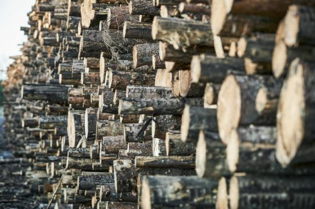 Haulage owner responds to 'financial lottery' of payment for timber debate