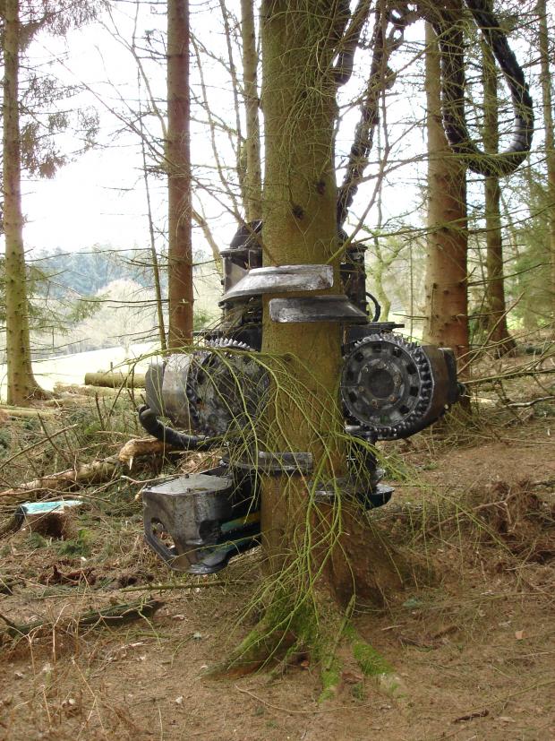 Forestry Journal:  FC contractors getting to grips with P60 Norway spruce in the Surrey Hills back in 2011. Will the FC be forced to get a grip on Ips typographus with Norway spruce as the insect pest’s primary host?