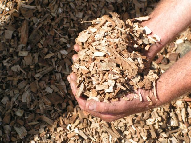 Forestry Journal:  Government and corporations both see the potential for biomass, according to Neil Harrison.