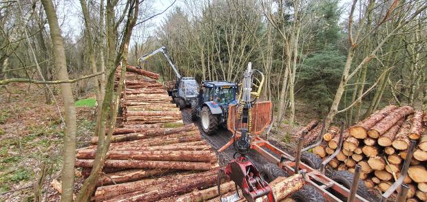 Forestry Journal: Two machines stacking.
