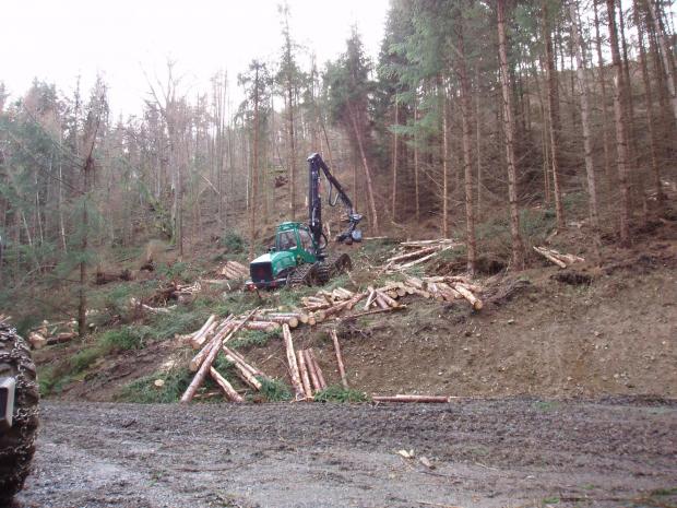 Forestry Journal: perators praised the Sleipner for its reliability and performance.