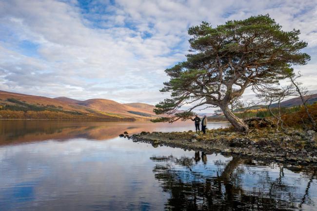 The project has started at Loch Arkaig Pine Forest near Spean Bridge in Lochaber