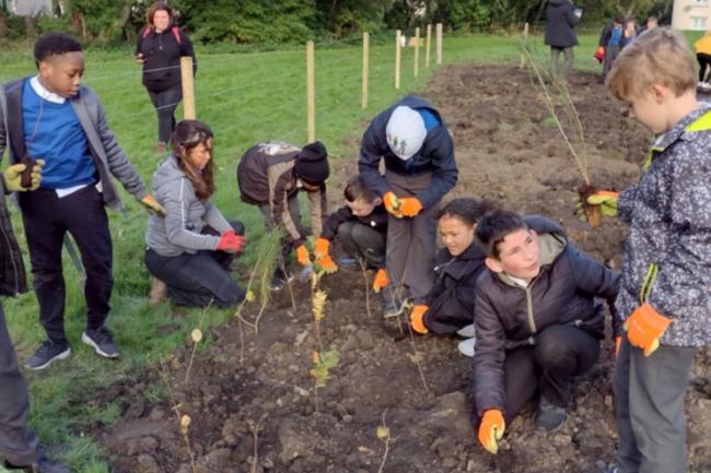 Schoolchildren will help to grow the Wee Forests across Scotland