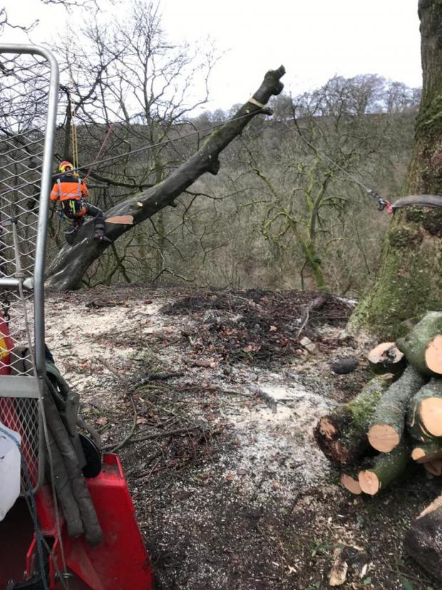 Forestry Journal:  Andy O’Neill has worked with other contractors through the pandemic and plans to engage more with the forestry community as he looks to build his business.
