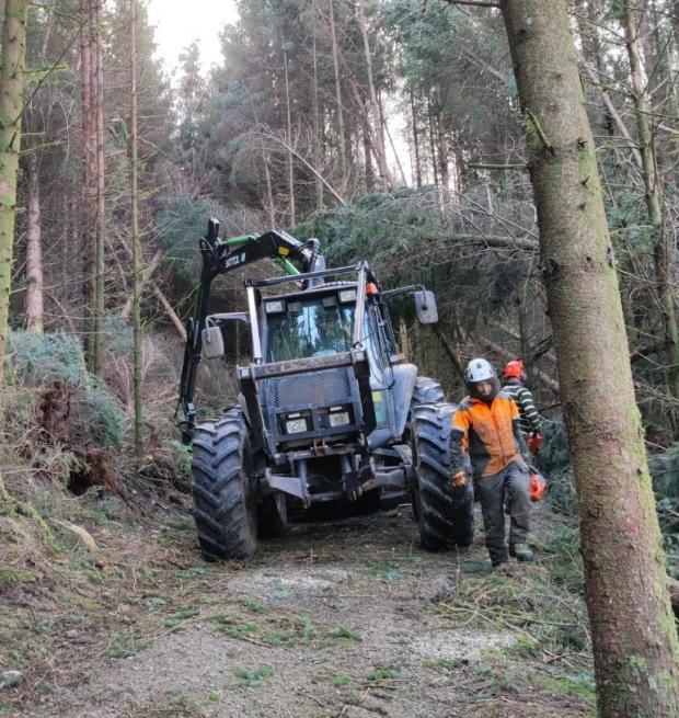Forestry Journal: The Arwen clean-up operation is still underway 