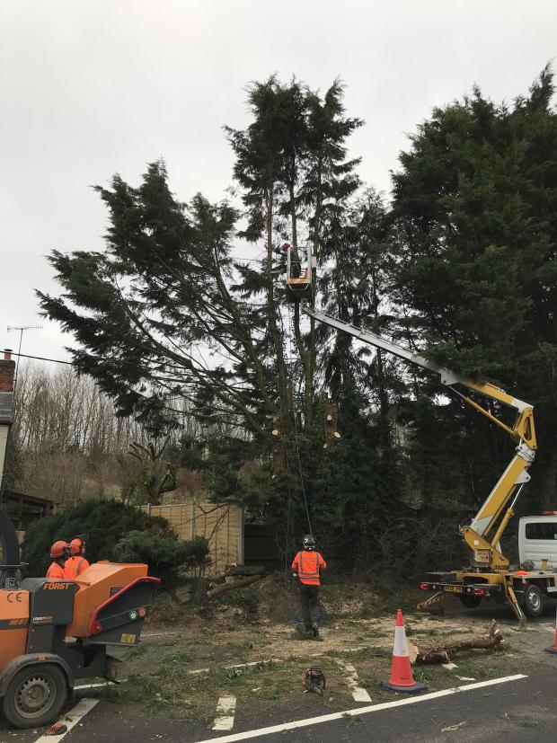 Forestry Journal: Wessex’s staff showed they could handle the job with care and professionalism.