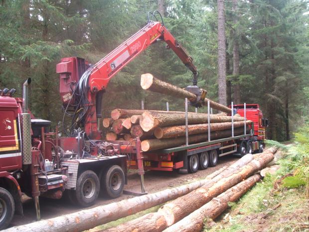 Forestry Journal: With their long reach, Jonsered cranes remain a frequent fixture out in the field.