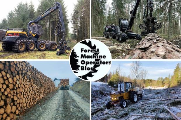 Dismay as public ignore warnings on timber harvesting sites: Bites from the Blog, March 2022