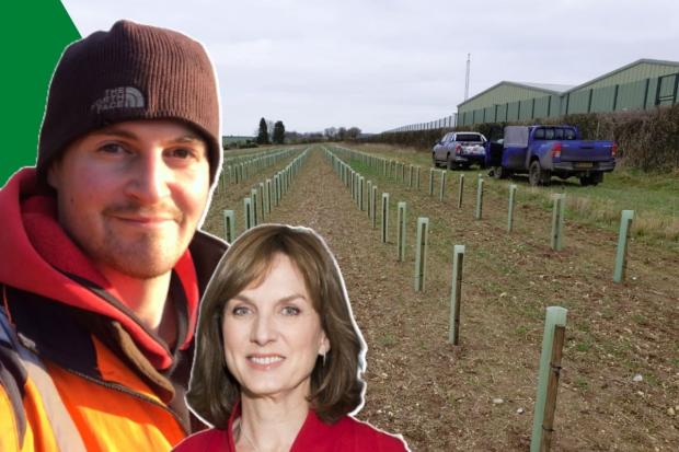 Danny's month involved tree planting, a man named Kevin and Antiques Roadshow, presented by Fiona Bruce