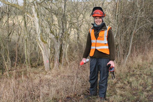 Forestry Journal: Ecologist Stacey Adlard surveys the woodland in advance of the harvesting operation and can mark for retention trees that appear to be important roosts for the various bat species found locally.