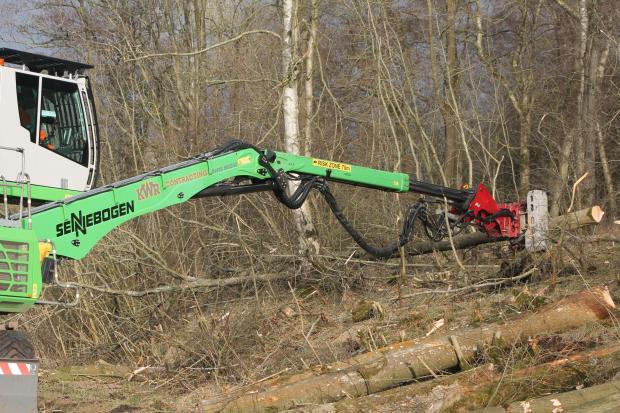 Forestry Journal:  The Sennebogen 718 teases an ash tree out from behind a substantial birch. With the grapple saw at maximum extension it is the slew cylinders that need to provide the power to loosen the crown and edge the stem around into position for processing. As a specialist machine developed from the Sennebogen Mobile range, the 718 was designed with an oversized slew ring to increase the slewing power.