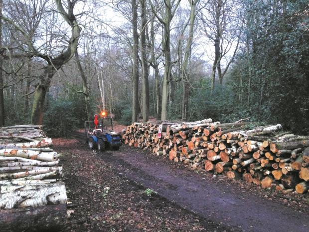 Forestry Journal: From 2040, leading up to its net-zero targets in 2050, the UK is forecast to have less wood than it does now. 