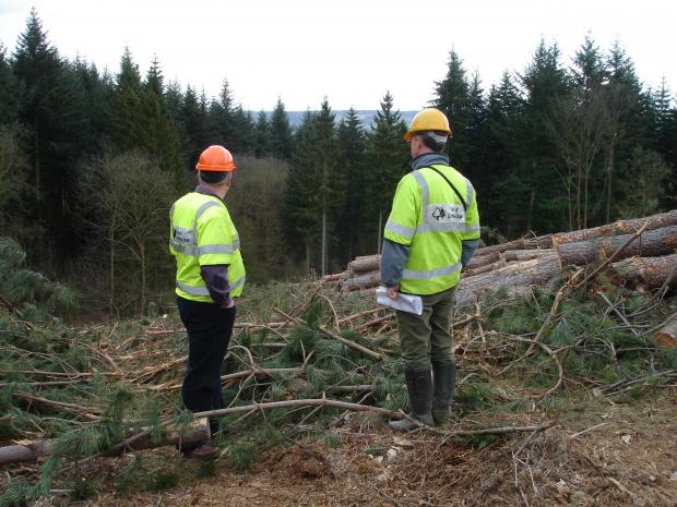 Forestry Journal:  Insufficient qualified and experienced ‘boots on the ground’ is called out as a potential block to achieving the March 2025 target of 7,500 ha.