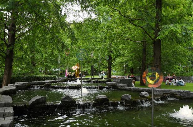 Forestry Journal: In Jubilee Park, a cantilevered water feature is surrounded by 200 fast-growing Dawn redwoods interspersed with cherry, evergreen oak and Zelkova.