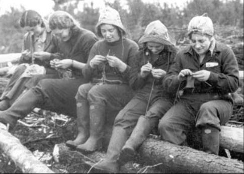 Forestry Journal: Whilst the Lumberjills toiled all day in the forests, self sufficiency (in this case, knitting!) remained the order of the day.