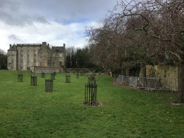 Forestry Journal: The new orchard plantings at Kinneil House.