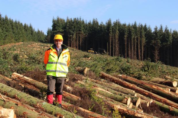 Forestry Journal: Ralland Browne
