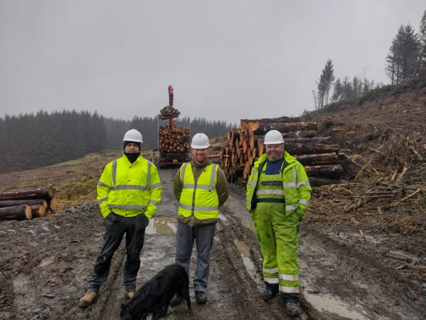 Forestry Journal:  Ben, Garry and Maurice on the harvesting site.