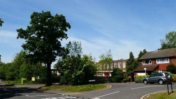 Forestry Journal:  Veteran oak tree (left) in South Hertfordshire which survived construction of a fire station in the 1930s (centre) and an adjacent housing development in the 1960s. The tree still produces a copious crop of acorns especially in mast years.