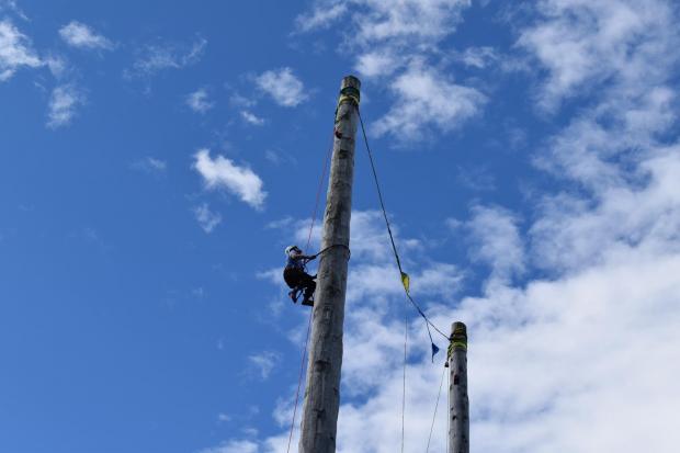 Forestry Journal: With the sun shining, conditions were excellent for the 80-ft pole-climbing competition.