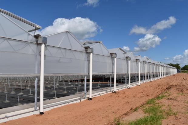 Forestry Journal: The new miniplug facility could revolutionise the way plants are grown at the nursery.