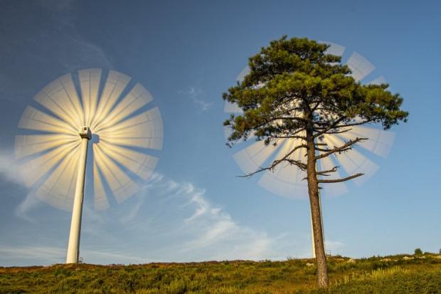 Forestry Journal: ROBERTO BUENO, WIND ENERGY AND TREES: ALLIED AGAINST CLIMATE CHANGE, 2020