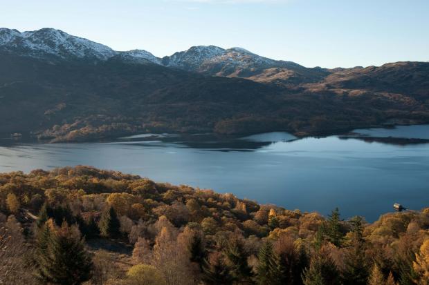 Forestry Journal: Loch Katrine 