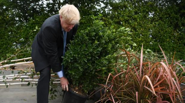 Forestry Journal: Outgoing PM Boris Johnson has been criticised for his government's tree-planting 'failures' 