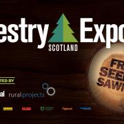WATCH: Forestry Expo Scotland 2019 - 'forestry without limitations'