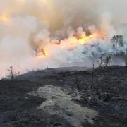 A wildfire involves an area of more than 1,000 sq metres.