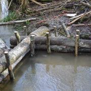 Natural flood prevention in Tudeley Woods