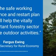 New Scots forestry guidance published as lockdown eases