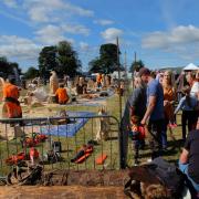 North Ayrshire chainsaw carve cancelled