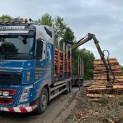 Timber imports continue strong market recovery