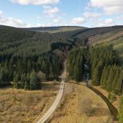 Exceptional southern Scotland forestry for sale for £14 million