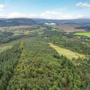 Gartmore Woodlands has now gone on sale