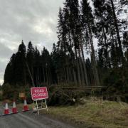 Kielder chiefs are currently assessing the damage caused by the storms (pictures: Forestry England)