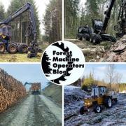 Dismay as public ignore warnings on timber harvesting sites: Bites from the Blog, March 2022