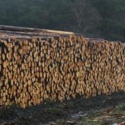 Stock image of timber