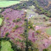 Investigations revealed a total of 8.5 ha (equivalent of 12 football pitches) of native and wet woodland had been cut down