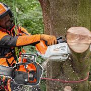 The top-handle chainsaws you need to consider (Part II)