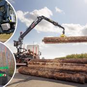 More timber trailers and cranes you need to consider (Part II)