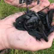 Biochar is biomass heated in the absence of oxygen to make charcoal
