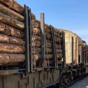 Timber ready to be transported to Chirk (all pictures: Network Rail)