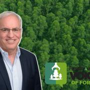 'Innovation can drive a more sustainable future': Biotech chief on forestry solutions