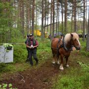 Horse logging was one of the show's 'mane' events