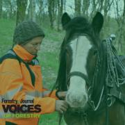 Steffi Schaffler of Teamwork Horse Logging