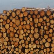 According to the responses, some communities are concerned about timber production